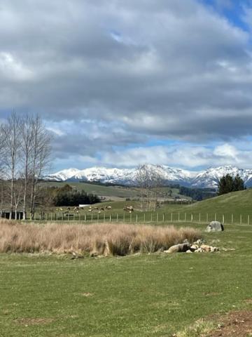 Boutique Tiny House - Te Anau Country Accommodation Exterior foto
